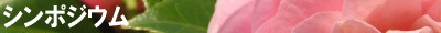 シンポジウム