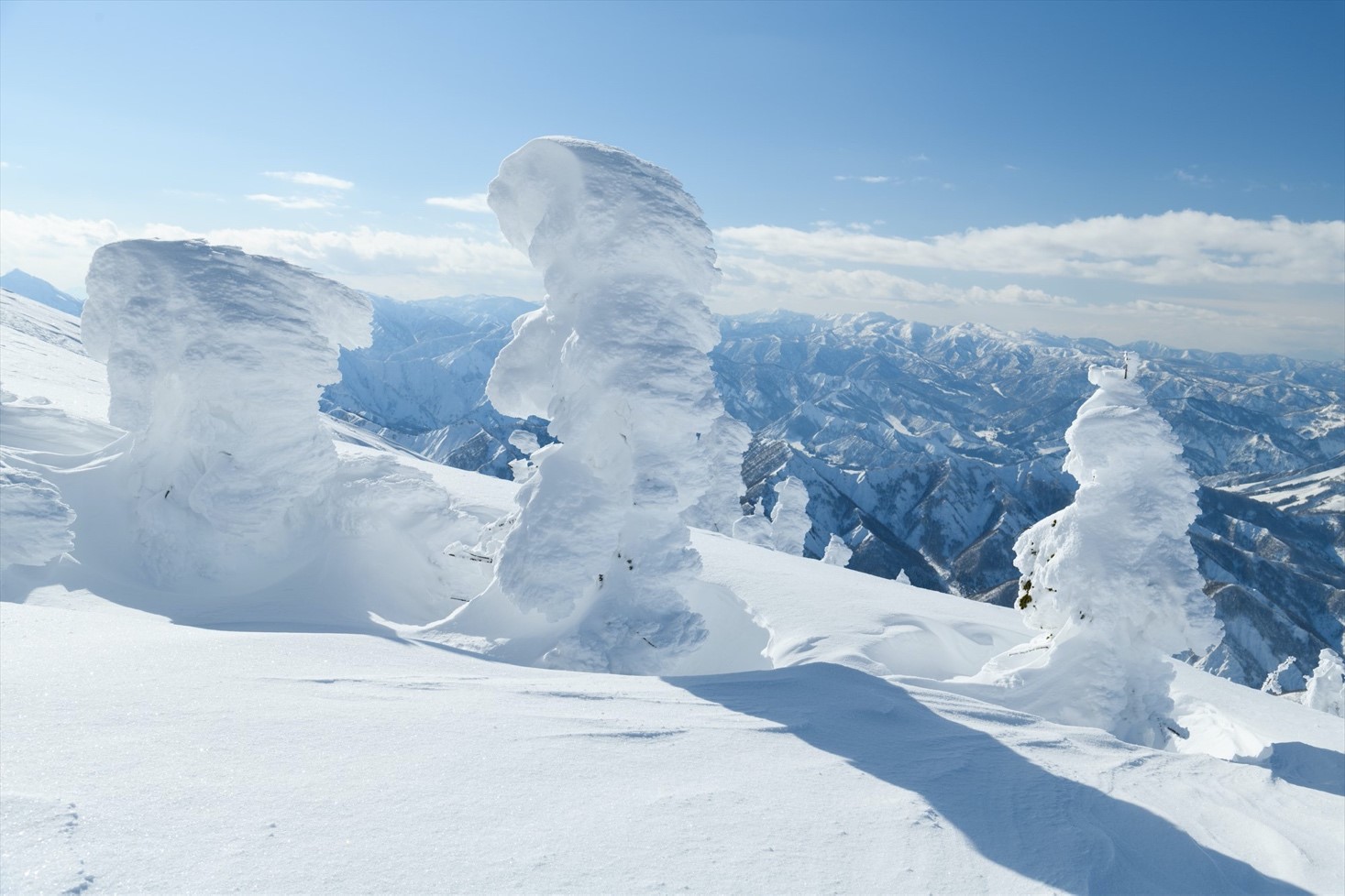 写真４　　巻機山山頂から南北に伸びている峰の西側にある峰（避難小屋がある）では小ぶりの樹氷（アイスモンスター）が認められました。（2023年1月7日　漆崎隆之氏撮影）の画像