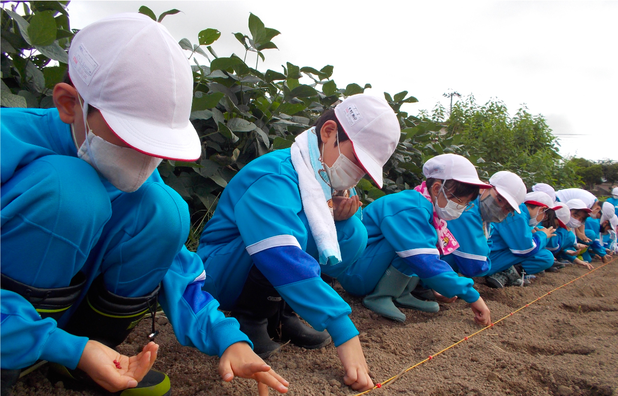 大根の種を植える5年生の児童たち