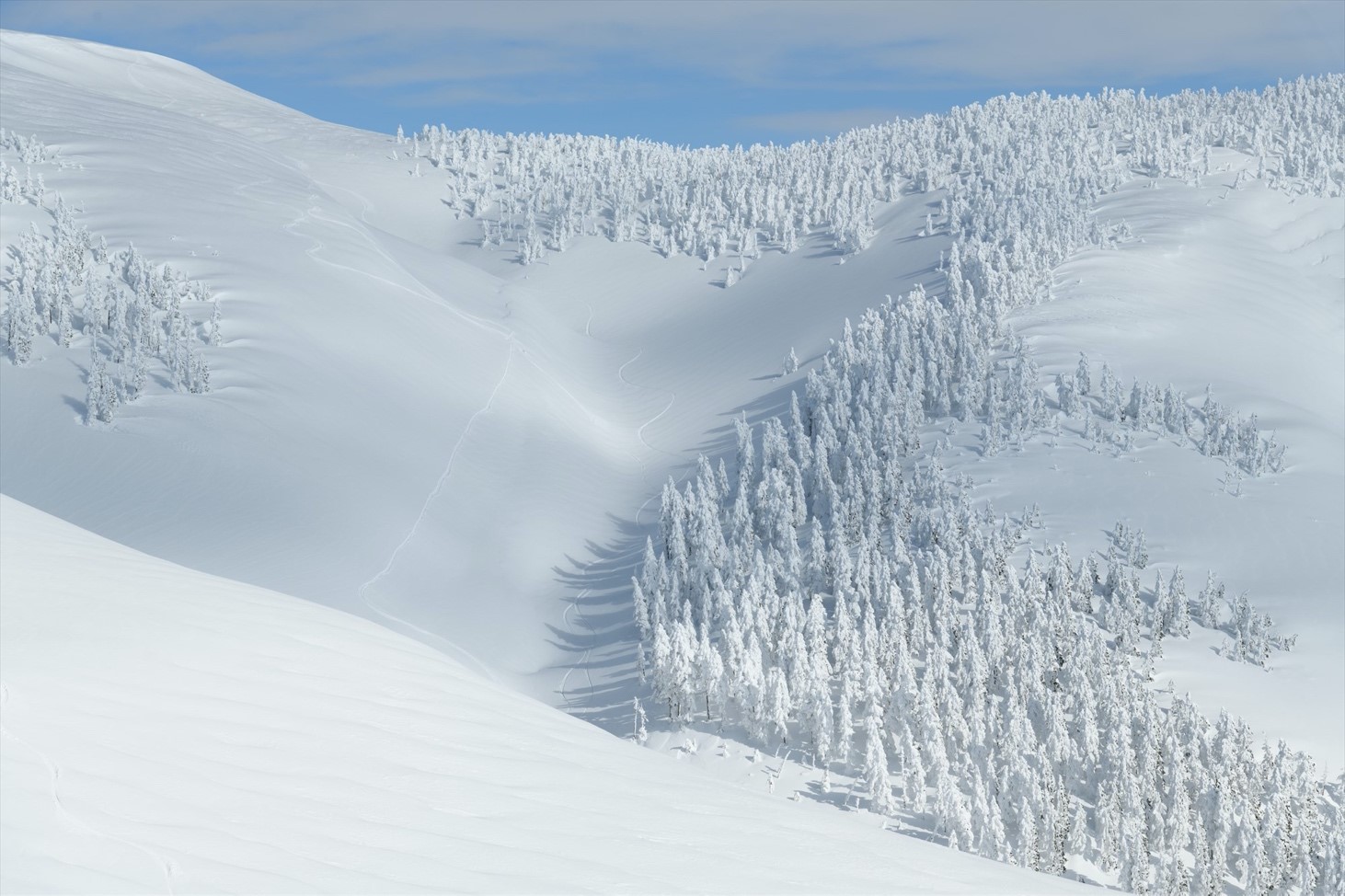 写真３　巻機山山頂から南北に伸びている峰（写真の上部）から西側に伸びている尾根（写真の上部から下部に向かう）に沿っては樹氷（アイスモンスター）ができ始めた状態にあります。（2023年1月7日　漆崎隆之氏撮影）の画像