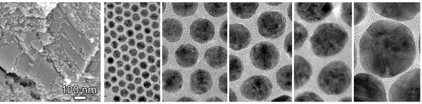 図３ 銀ナノ粒子の電子顕微鏡像の画像