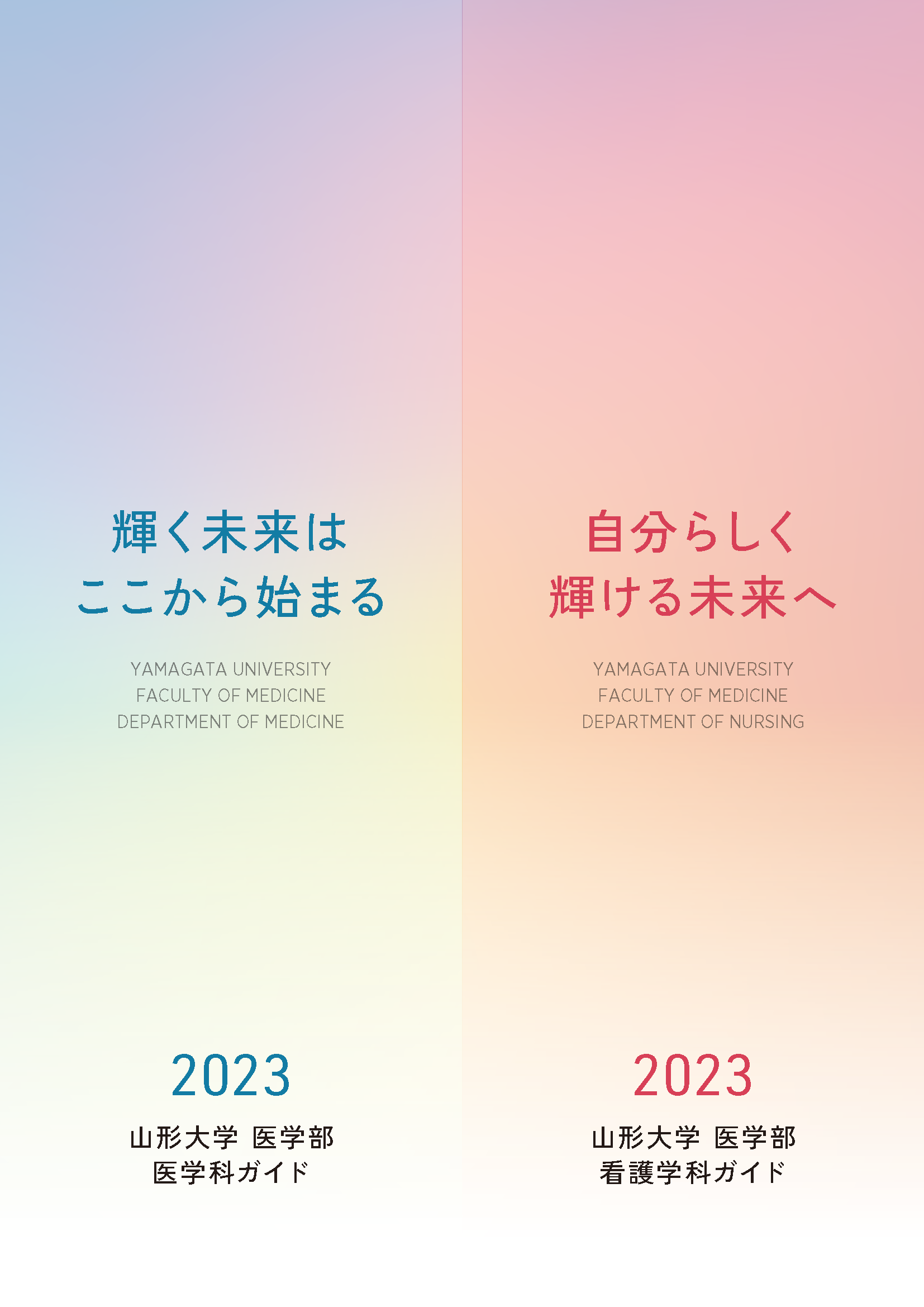 過去の入試結果 国立大学法人 山形大学