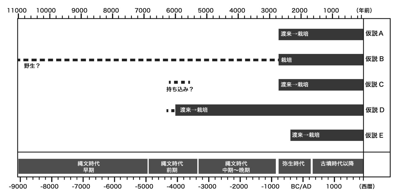 図　日本列島のモモの伝来に関する５つの仮説の画像