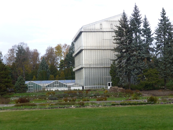 ラトビア大学植物園。大きな温室内はヤシの木の林の画像