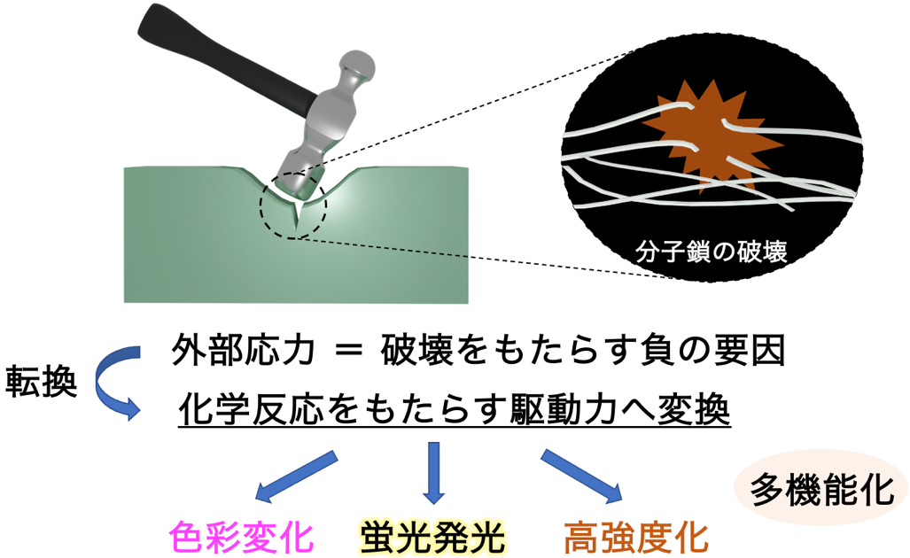 図1　本研究のコンセプトの画像