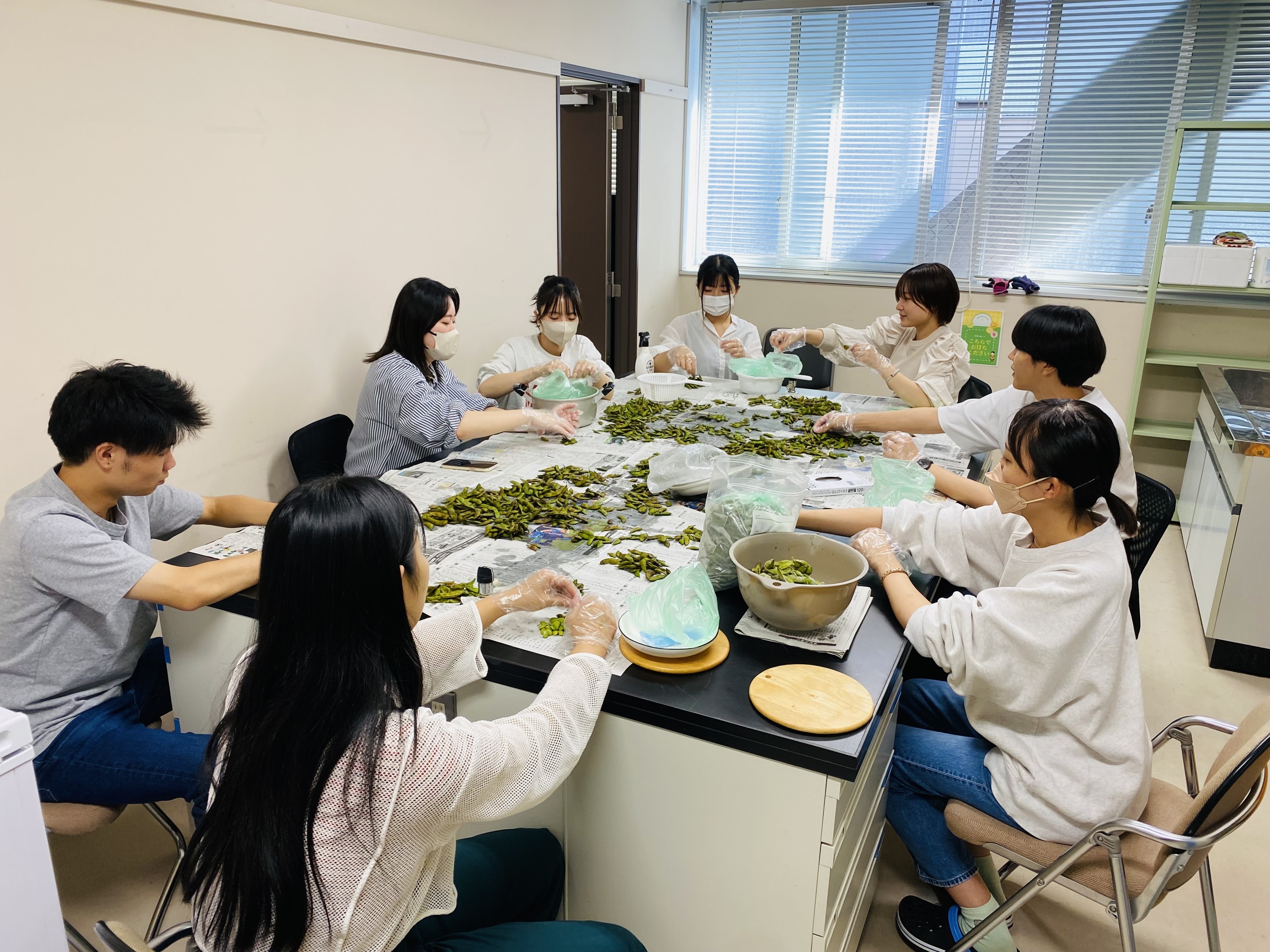 だだちゃ豆の下処理、その後衛生加工施設への画像