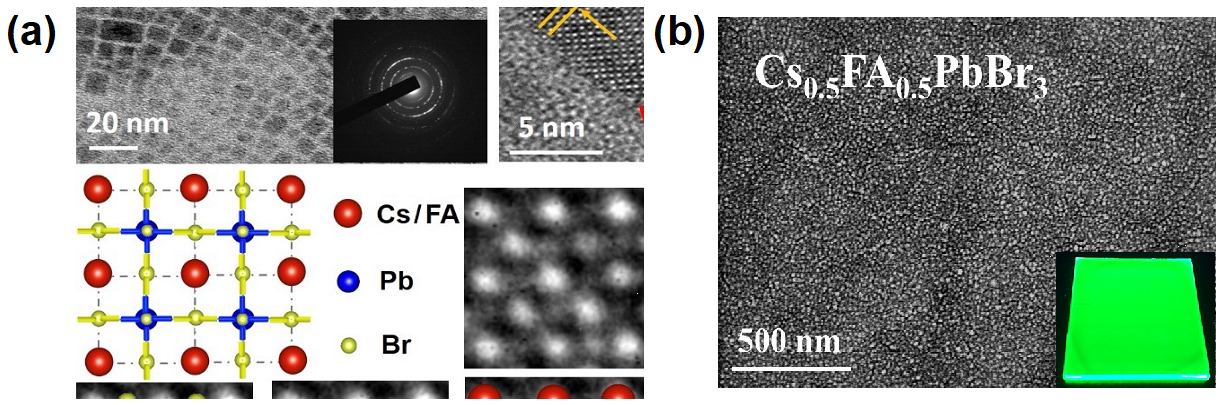 図1：Cs0.5FA0.5PbBr3薄膜の(a)高解像度透過型電子顕微鏡像と(b)走査電子顕微鏡像。
右下はUV照射下薄膜の写真を示している。の画像