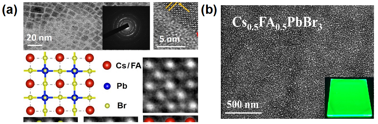 図1：Cs0.5FA0.5PbBr3薄膜の(a)高解像度透過型電子顕微鏡像と(b)走査電子顕微鏡像。
右下はUV照射下薄膜の写真を示している。の画像