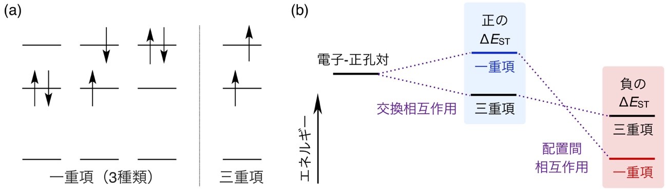 図2 (a)二電子三軌道の二電子励起配置と(b)一重項励起状態と三重項励起状態のエネルギー序列
(a) パウリの排他原理により、平行なスピンを持つ三重項の二電子は同じ軌道を占めることができない。よって、三重項と比べて一重項は、とり得る二電子励起配置の数が多い。
(b) 配置間相互作用による一重項の優先的な安定化が交換相互作用を上回れば、一重項と三重項のエネルギーは逆転し、ΔESTは負になり得る。の画像