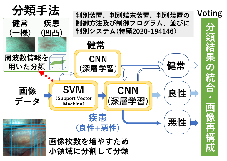 本研究における判別モデルの画像