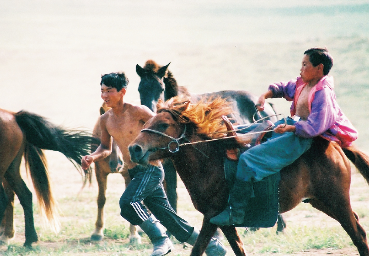 暴れる若馬を馴らす少年。「モンゴル人は馬上で育つ」