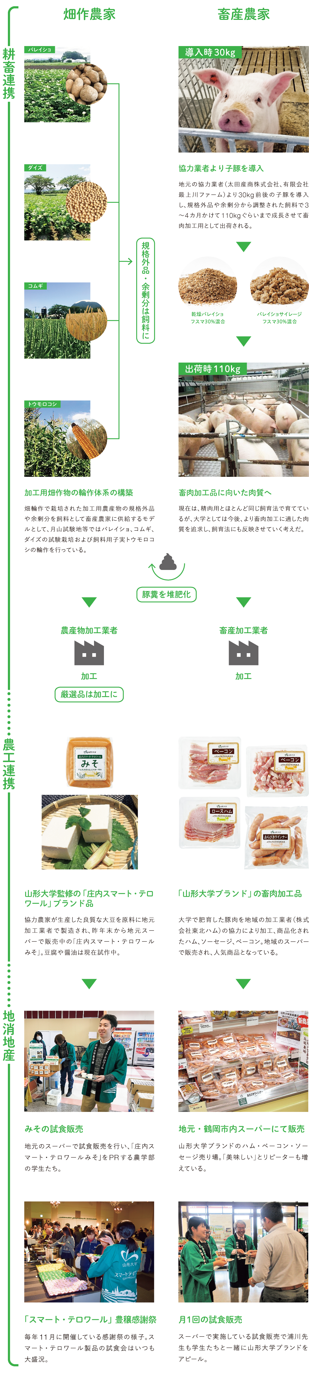 耕畜連携、農工連携、地消地産の流れの図