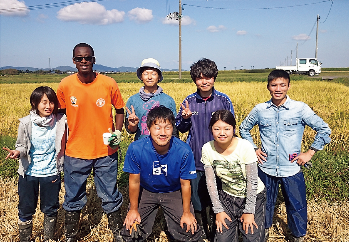 研究室のメンバーと稲刈り