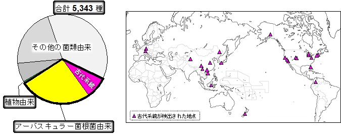 図3. アーバスキュラー菌根菌由来ミトウイルス古代系統の世界分布：世界中の土壌サンプル中に見出された5,343種のミトウイルスのうち、約1/3がアーバスキュラー菌根菌由来であり、そのうちの23%が古代系統であった。古代系統が検出された土壌サンプルの採取地点を地図上に示している。の画像