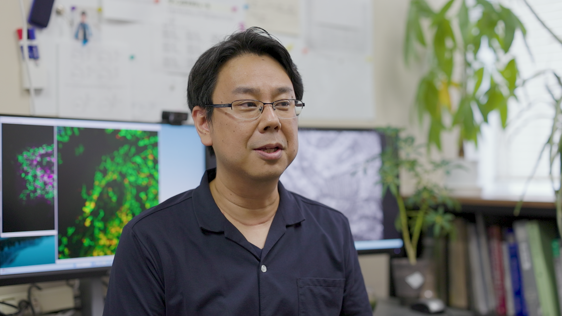 「「生きている」とは何か？分子レベルから生命を理解する生物化学の世界」