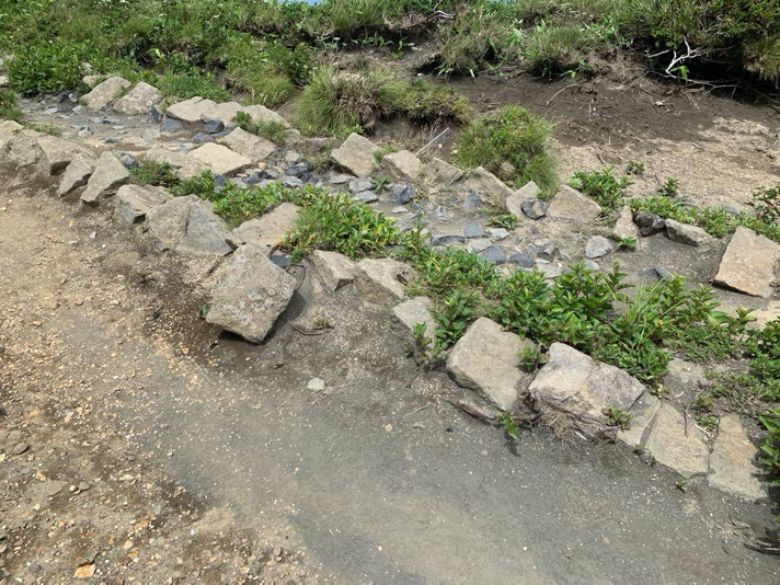 図１７　遊歩道の画像