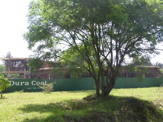 中国が建設中の汎アフリカ大学機構の校舎の画像