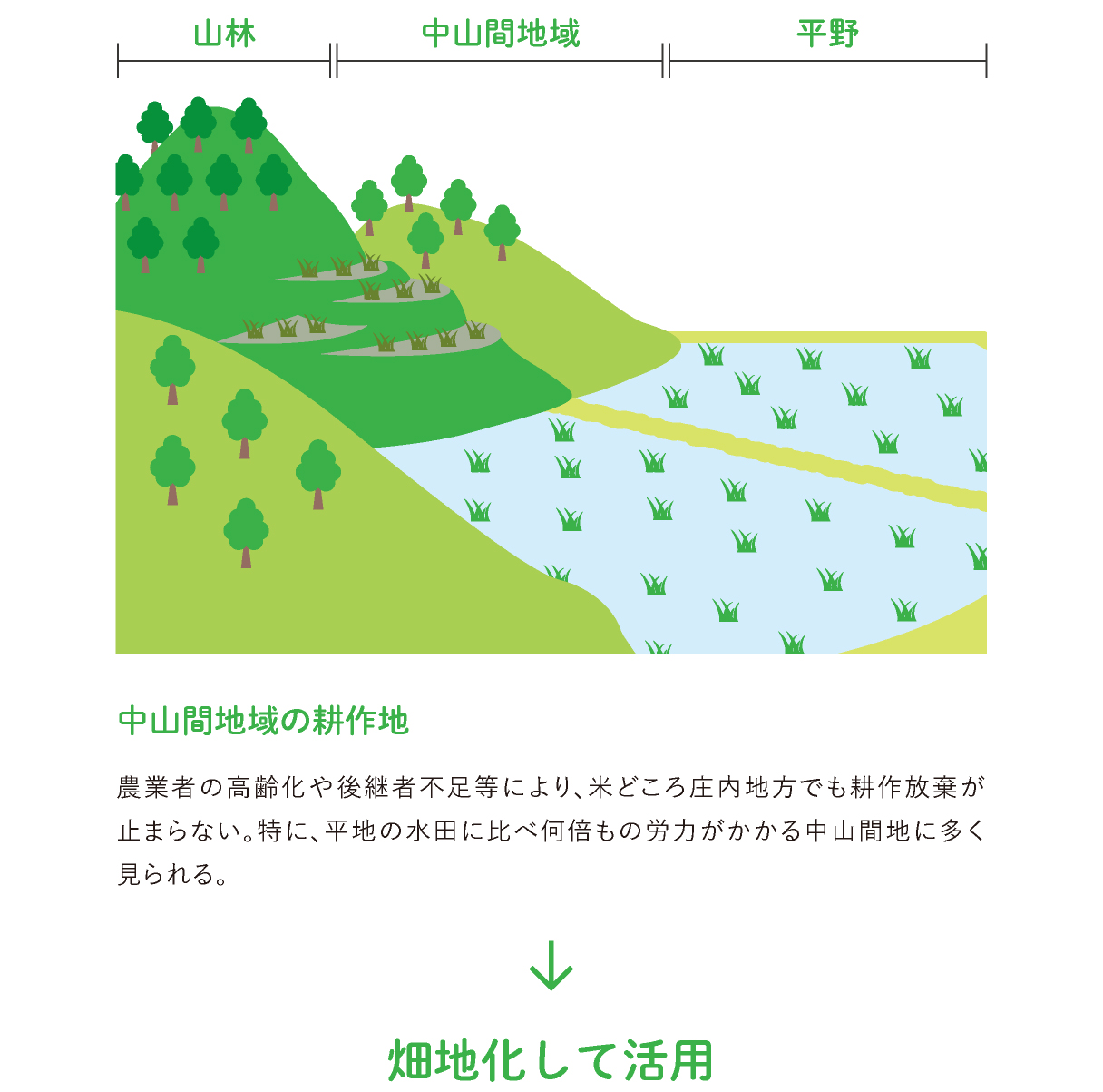 中山間地域の耕作地の画像