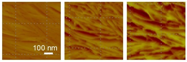 高分子分解過程のAFM像の画像