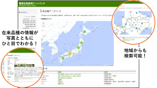 在来品種データベース　ホーム ページの画像