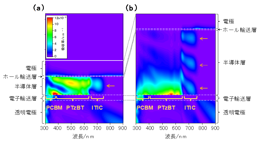 図2. 分光エリプソメトリー解析の結果を基にシミュレートした、増感型三元系OPV断面の光吸収の分布。
(a)半導体層が約100 nmと薄いとき。(b) 半導体層が約400 nmと厚いとき。ITICの吸収帯において、吸収率が高い部分（矢印の青いスポット）は、半導体層が薄いときは一つだが、半導体層が厚いときは三つ現れており、強い光干渉効果があることが分かる。の画像