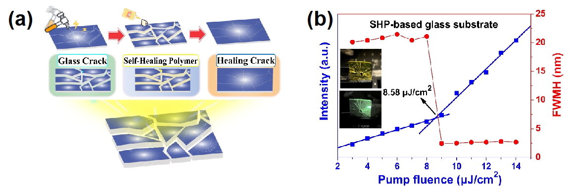 図4：(a)割れたガラス基板を自己修復ポリマーコートした模式図と(b)発光強度・半値幅-ポンプ光特性の画像