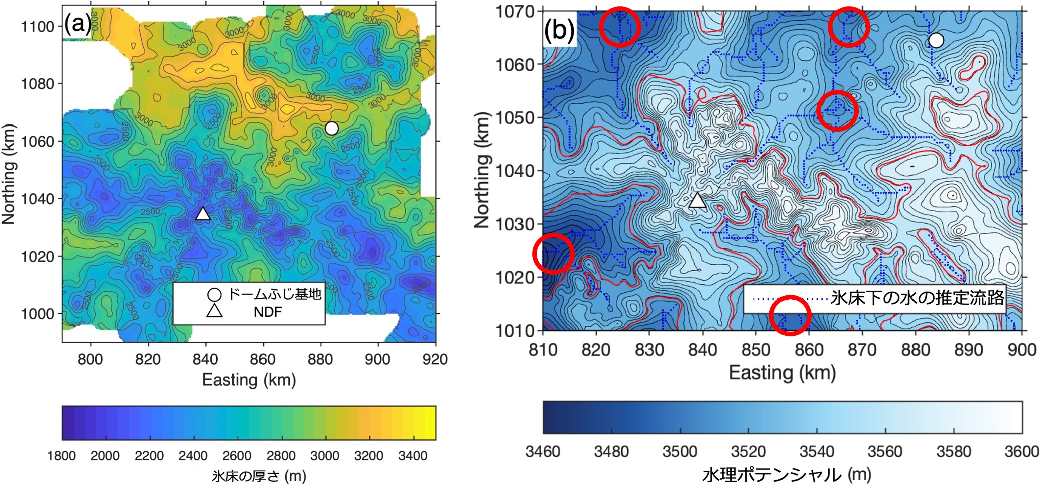 図4： （a）第26～60次南極地域観測隊で取得した氷床レーダデータをもとに作成した氷床の厚さの分布。等高線は100メートル間隔で示す。基盤地形の高さは、氷床表面高度（図2a）から氷床の厚さを差し引けば得られる。（b）氷床の厚さや基盤地形高度をもとに計算した水理ポテンシャル。水理ポテンシャルとは、流体のエネルギー状態を表すもので、流れはこの値の高い方から低い方に生じる。青点線は、水理ポテンシャル分布から推定された、氷床底面での水の流路。赤線は氷床の厚さ2500メートルの分布を示す。赤丸は氷床底湖や水たまりの存在が推定される場所を示す。の画像