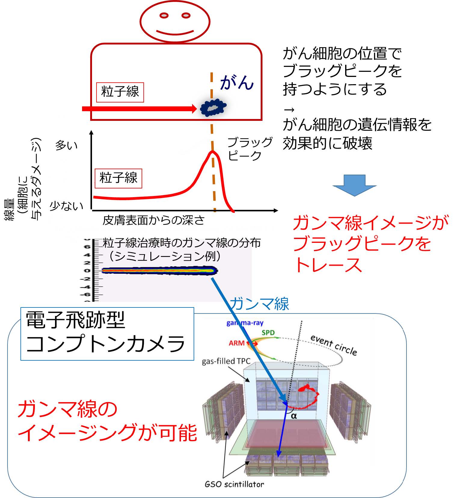 ガンマ線撮像による粒子線治療モニタの概念図の画像