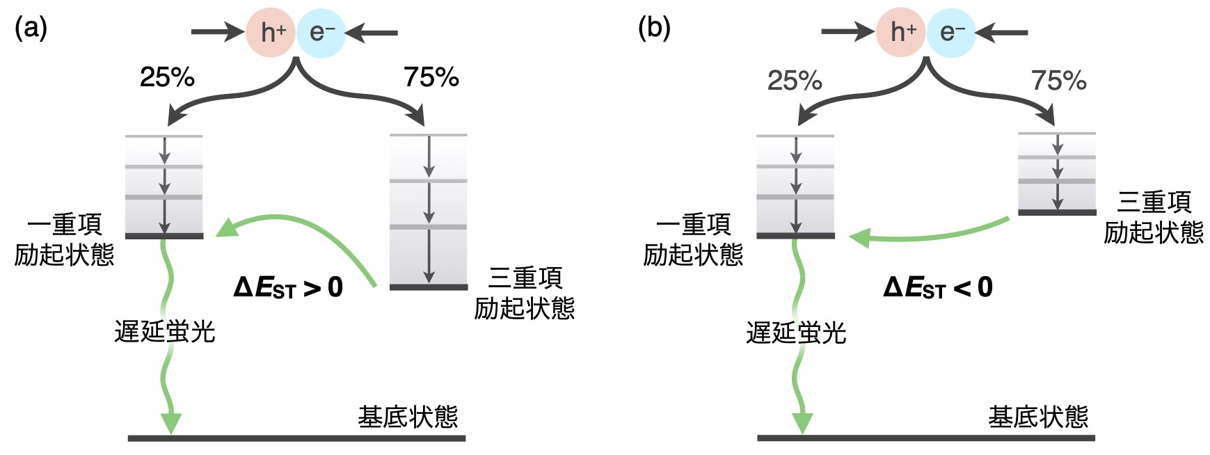 図1 (a)熱活性化遅延蛍光材料と(b)負のΔESTを持つ新材料の発光メカニズム
(a) 室温の熱エネルギーによって、三重項励起状態が高エネルギーの一重項励起状態に変換され、遅延蛍光が生じる。
(b) 三重項励起状態が低エネルギーの一重項励起状態に速やかに変換され、遅延蛍光が生じる。の画像