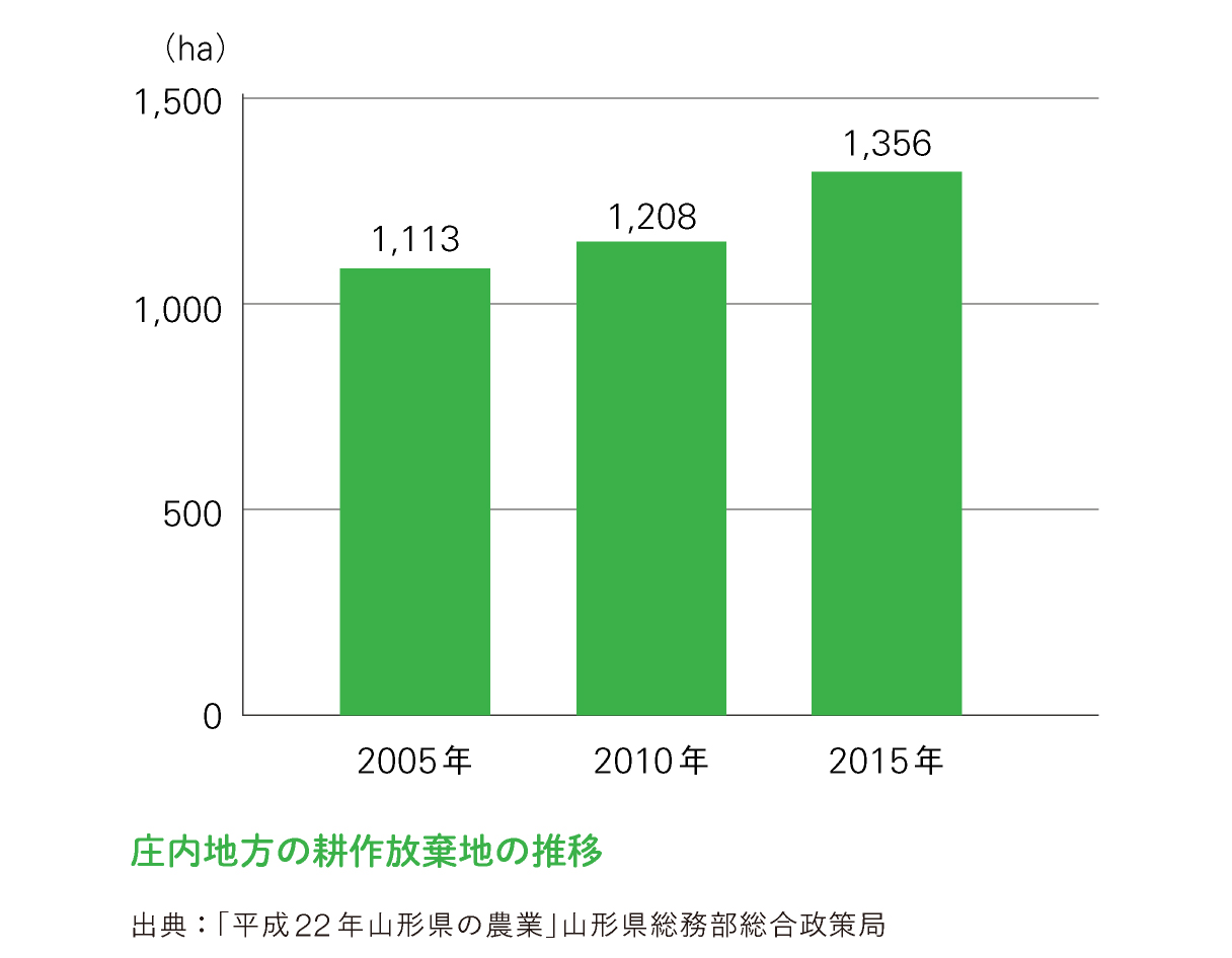 庄内地方の耕作放棄地の推移グラフ