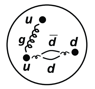 図1：陽子のパートン構造。
2個のアップクォーク (u) と1個のダウンクォーク (d) からグルーオン (g) の放射やクォーク・反クォークの対生成が起こり、クォーク・反クォーク・グルーオンの複合体になっている。の画像