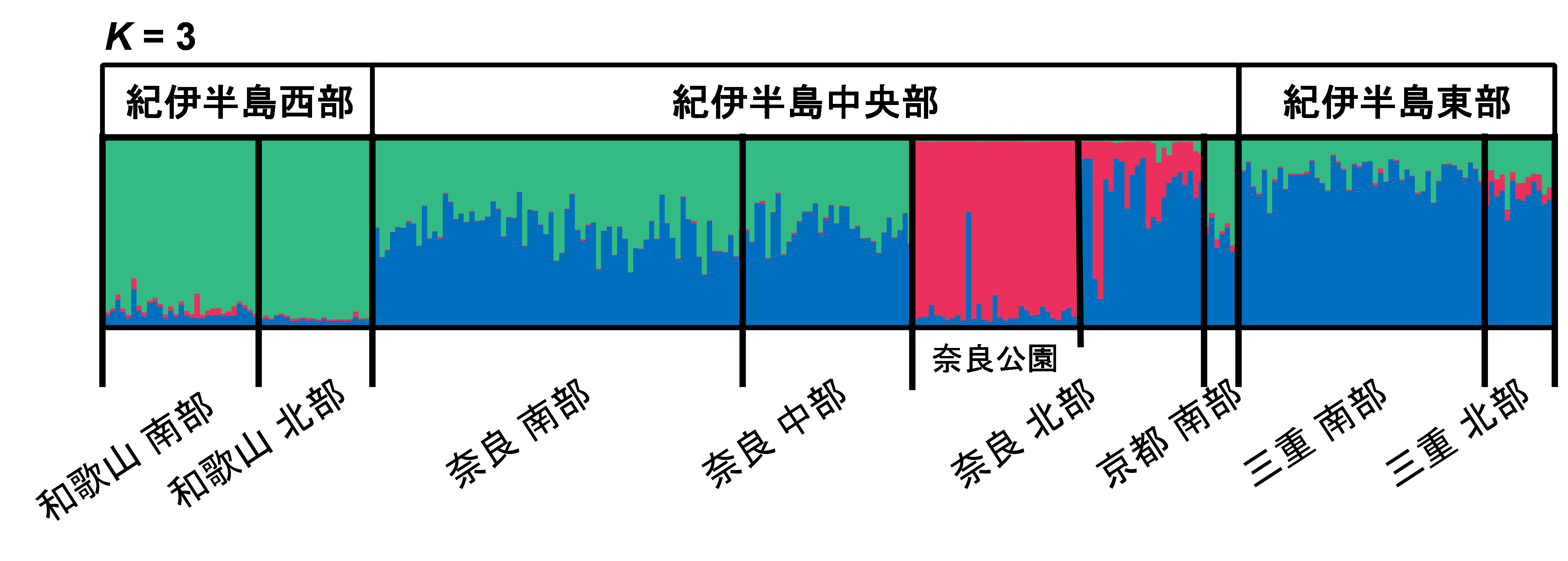 図4. 核SSR を使用した集団構造解析の結果。集団構造解析は各個体の遺伝的組成を示す棒グラフ集合であり、各個体が3 つの遺伝的グループに属する確率を示している。奈良公園では赤の集団に、西部では緑の集団に、東部では青の集団に帰属する確率が高い個体が多いことが分かる。の画像