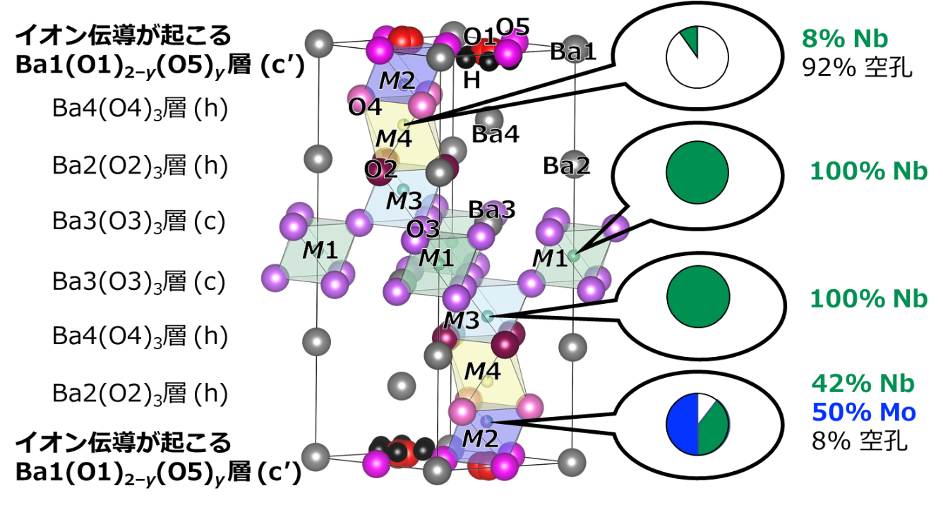 図4. 本研究で明らかにしたBa7Nb4MoO20·0.15 H2Oの完全な結晶構造。Mo原子がM2席のみに存在しており、他のM1、M3およびM4席にはMo原子が存在せずNb原子のみが存在している。このことはMoとNb原子の化学的規則性を示している。イオン伝導が起こるBa1(O1)2-y(O5)y層はBaとO原子が最密充填した本質的な酸素欠損（c' ）層である。Ba1、Ba2、Ba3は3種類の結晶学的な席を占有するBa原子を示す。O1、O2、O3、O4、O5は5種類の結晶学的な席を占有する酸素O原子を示す。yはO5の占有率を示す。の画像