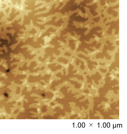 高分子化合物の膜の原子間力顕微鏡像
の画像