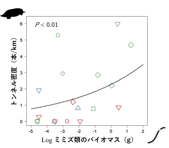 図２．ミミズ類のバイオマス（単位土壌体積あたりの生重量）が大きい場所ほど、アズマモグラのトンネル密度が高くなる傾向がみられた。トンネル密度は 4～10月を通じた平均値である。シンボルの違いは調査地（6か所）の違いを、色の違いは森林植生の違いを、実線は全体の傾向（モデル分析の結果）を表している。の画像
