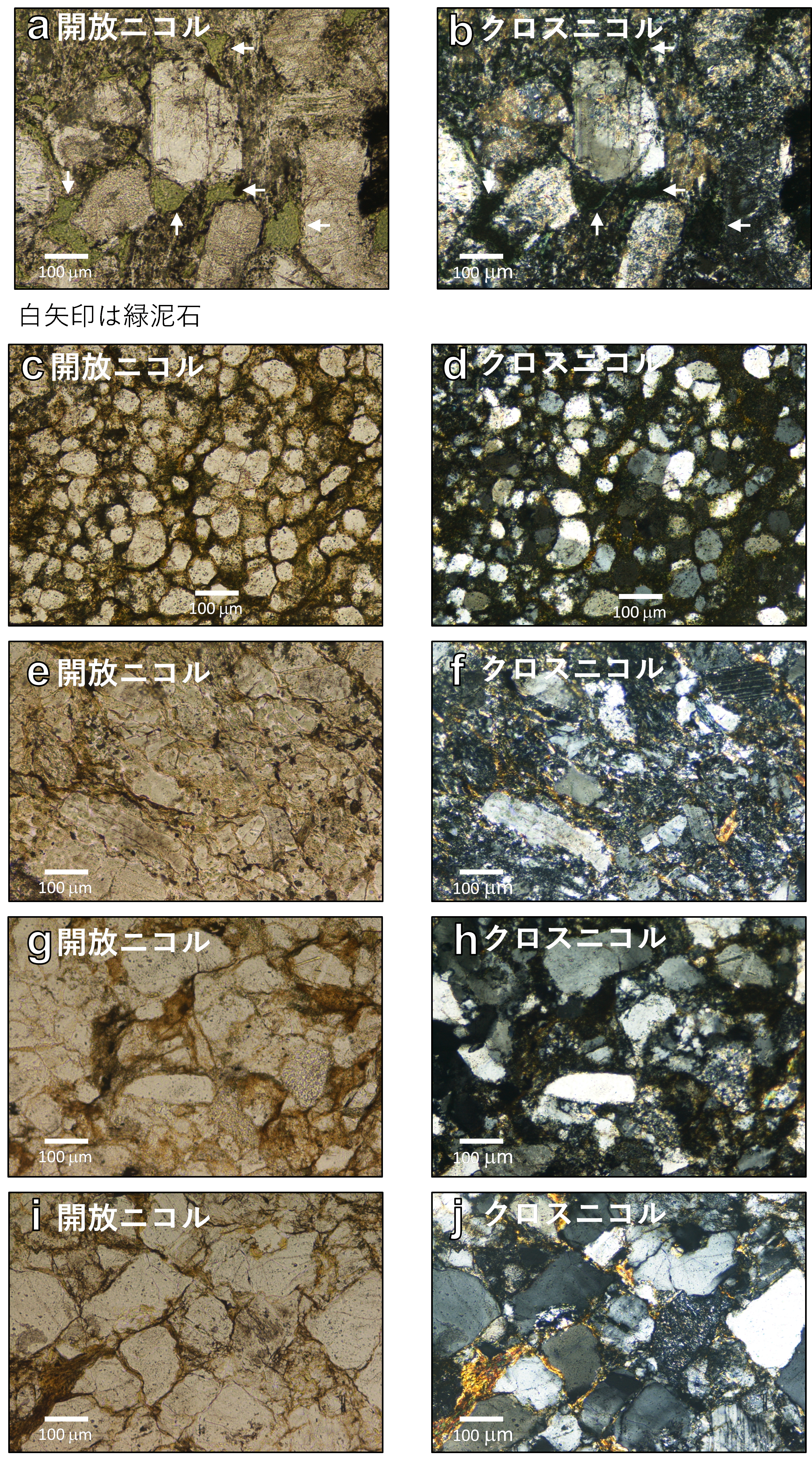 図7　試料3の礫の薄片写真．a, bは礫番号3-1，c, dは礫番号3-5，e, fは礫番号3-6，g, hは礫番号3-9，i, jは礫番号3-11．の画像