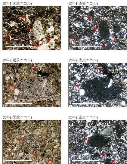 図6　薄片写真．赤矢印は火山ガラス．の画像