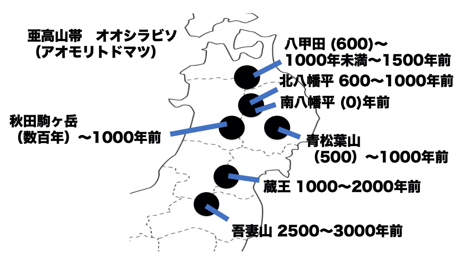 図２　オオシラビソ（アオモリトドマツ）の分布が拡大し始めた時期（＊３、＊４、＊５、＊６）の画像