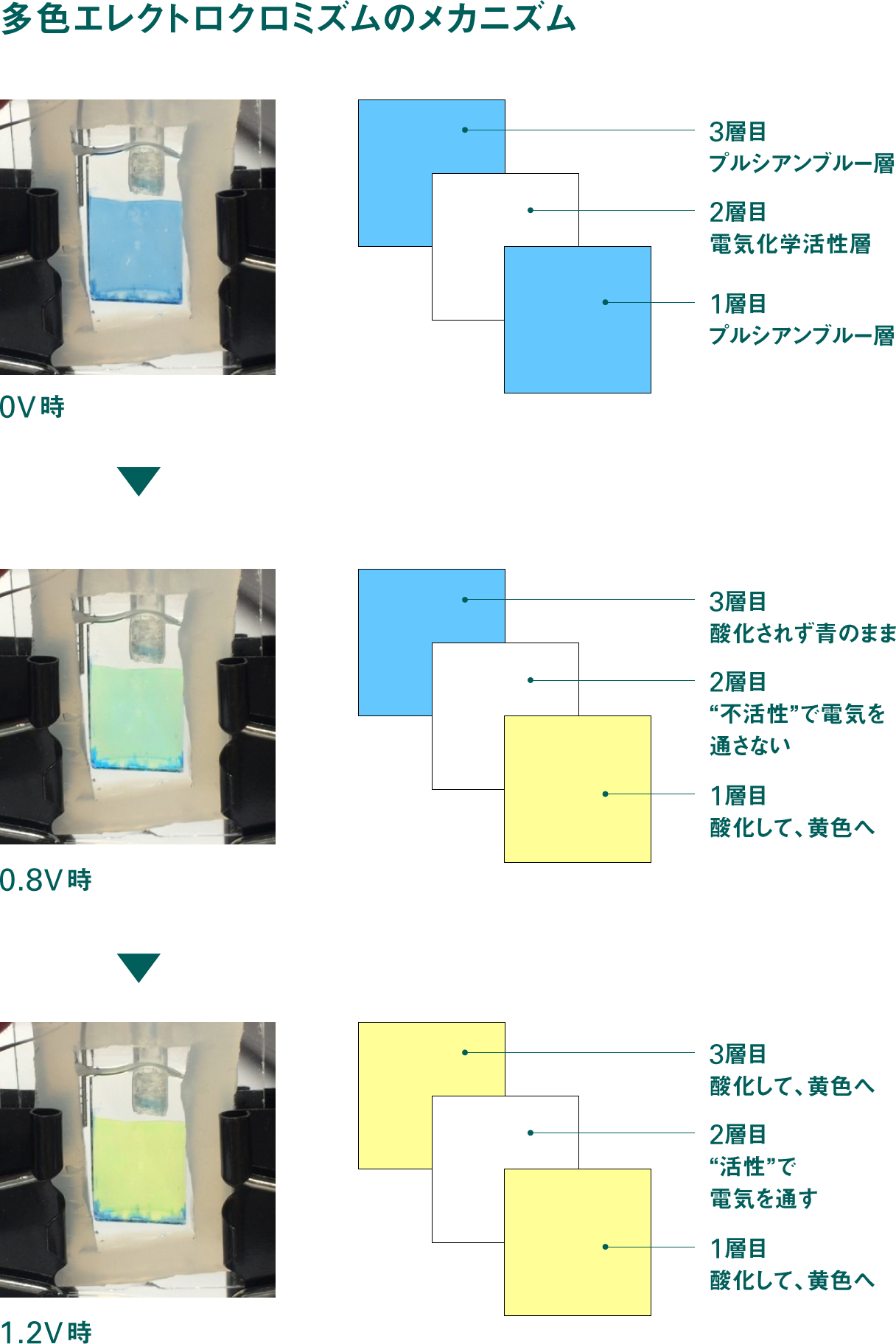 多色エレクトロクロミズムのメカニズム