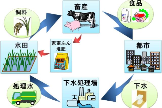 本研究で目指している資源循環システムの画像