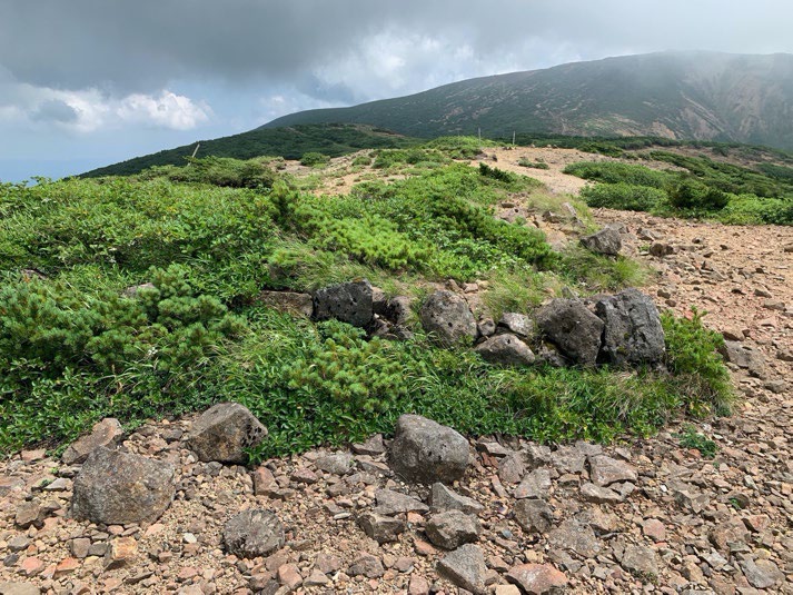 図１３　石積み（２）の画像