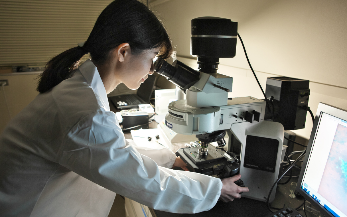 蛍光顕微鏡で脂質膜上のアミノロイドβタンパク質が凝集する様子を観察する飯田さん