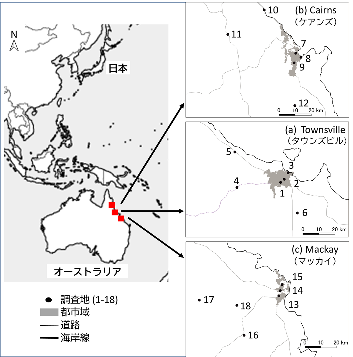 図２　調査地の画像