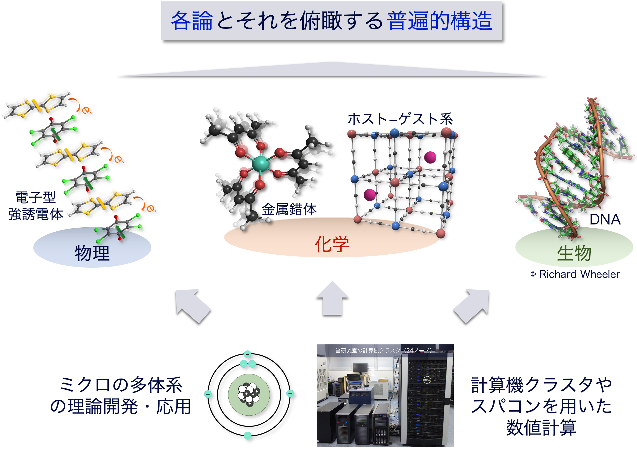 物理学・化学・生物学現象にミクロの目で首尾一貫した視座を提供する理論研究の画像