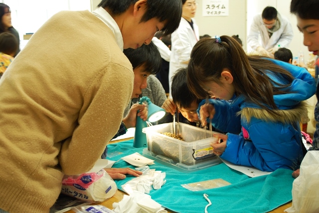 「セッコウ結晶の観察」 蔵王マイスターの画像