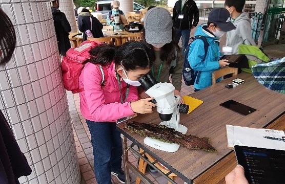 山形市野草園での粘菌講座の様子の画像