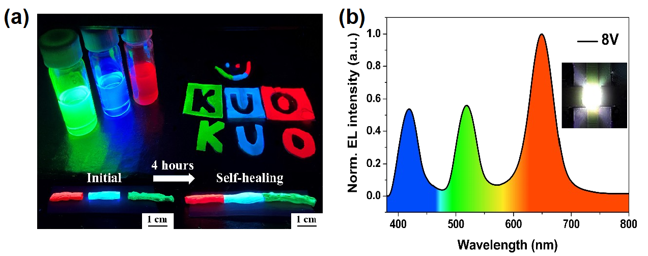 図3：(a)自己修復ポリマー中にペロブスカイトナノ結晶を分散したサンプルの発光画像と
(b)バックライライト用LEDの発光スペクトルの画像