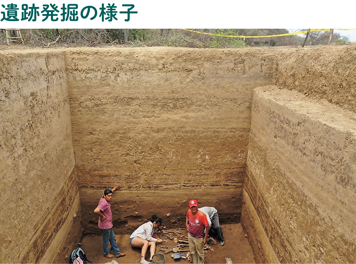 遺跡発掘の様子