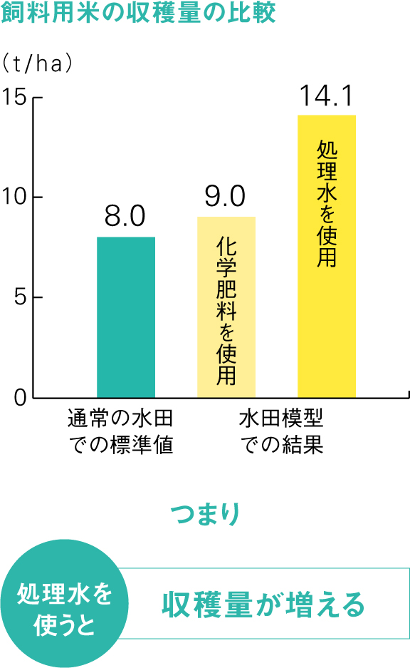 飼料用米の収穫量の比較