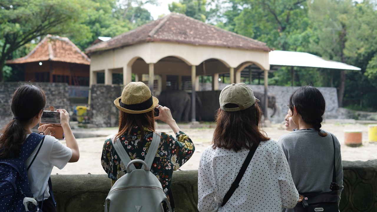 動物園にての画像